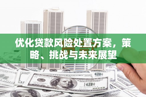 蠡县优化贷款风险处置方案，策略、挑战与未来展望