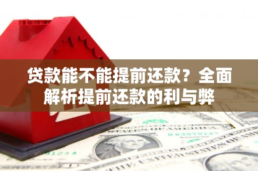 蠡县贷款能不能提前还款？全面解析提前还款的利与弊
