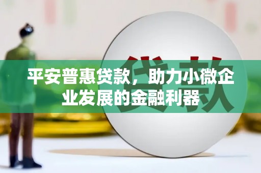 蠡县平安普惠贷款，助力小微企业发展的金融利器