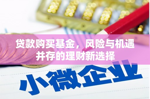 蠡县贷款购买基金，风险与机遇并存的理财新选择