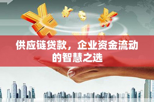蠡县供应链贷款，企业资金流动的智慧之选
