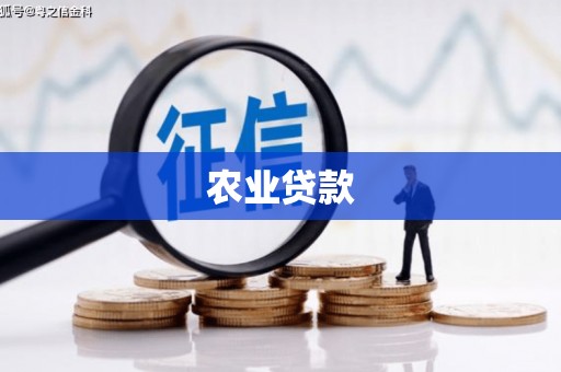 蠡县农业贷款