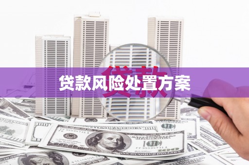 蠡县贷款风险处置方案