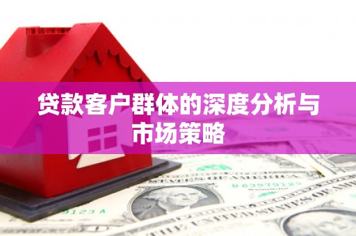 蠡县贷款客户群体的深度分析与市场策略
