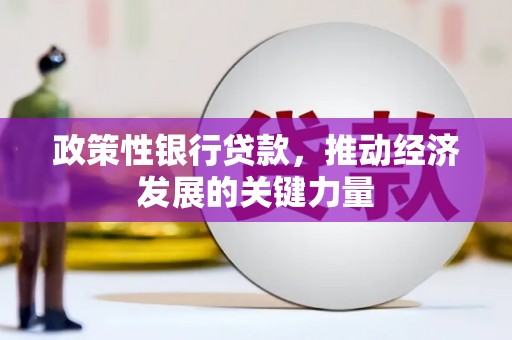 蠡县政策性银行贷款，推动经济发展的关键力量