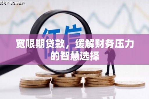蠡县宽限期贷款，缓解财务压力的智慧选择