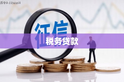 蠡县税务贷款