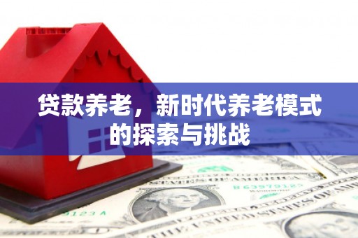 蠡县贷款养老，新时代养老模式的探索与挑战