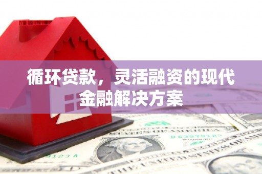 蠡县循环贷款，灵活融资的现代金融解决方案