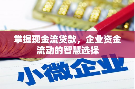 蠡县掌握现金流贷款，企业资金流动的智慧选择