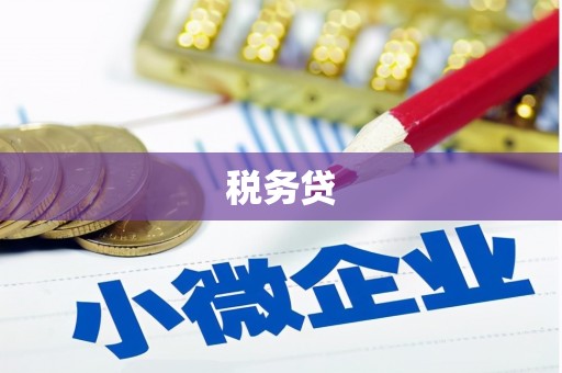 蠡县税务贷