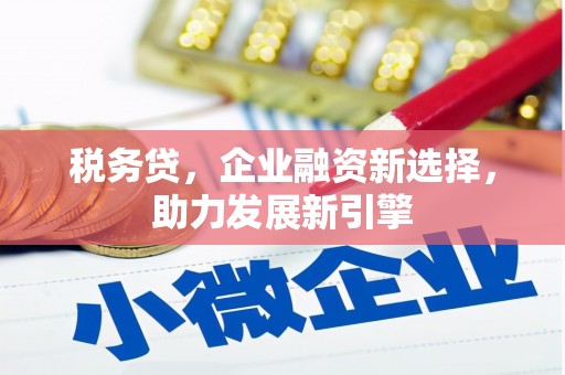 蠡县税务贷，企业融资新选择，助力发展新引擎