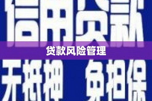 蠡县贷款风险管理