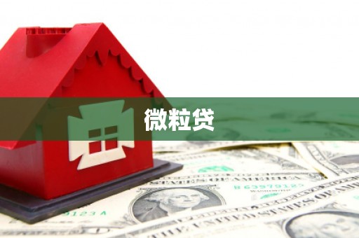 蠡县微粒贷