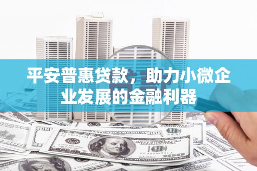 蠡县平安普惠贷款，助力小微企业发展的金融利器