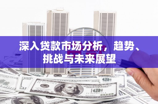蠡县深入贷款市场分析，趋势、挑战与未来展望