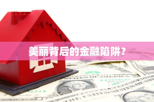 蠡县美丽背后的金融陷阱？