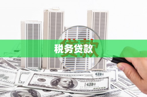 蠡县税务贷款