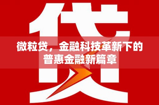 蠡县微粒贷，金融科技革新下的普惠金融新篇章