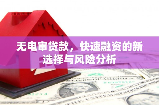 蠡县无电审贷款，快速融资的新选择与风险分析
