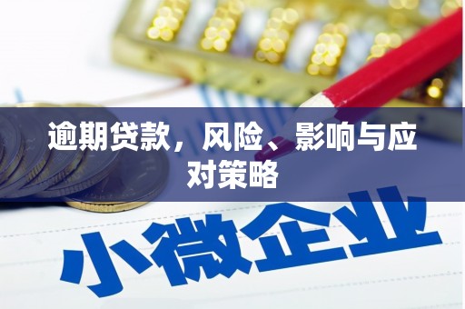 蠡县逾期贷款，风险、影响与应对策略