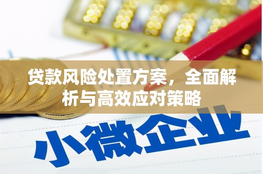蠡县贷款风险处置方案，全面解析与高效应对策略