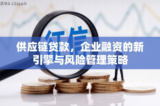 蠡县供应链贷款，企业融资的新引擎与风险管理策略