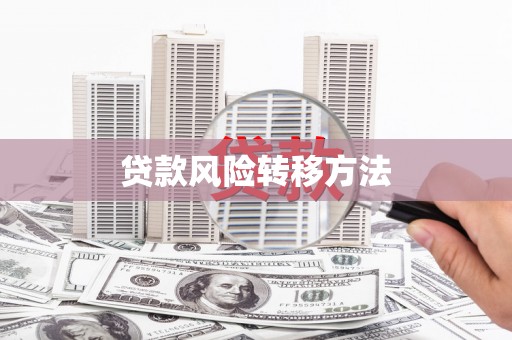 蠡县贷款风险转移方法
