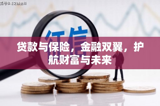 蠡县贷款与保险，金融双翼，护航财富与未来