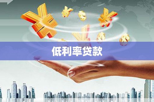 蠡县低利率贷款