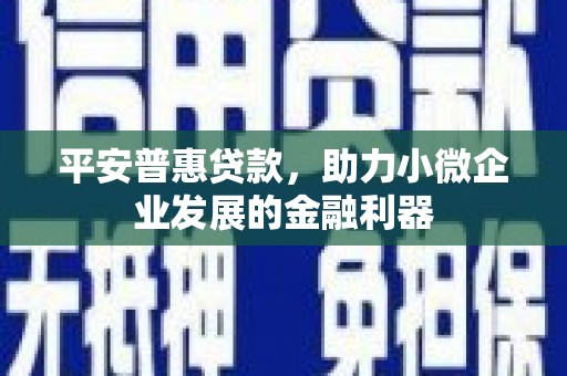 蠡县平安普惠贷款，助力小微企业发展的金融利器