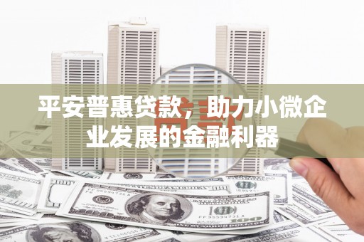 蠡县平安普惠贷款，助力小微企业发展的金融利器