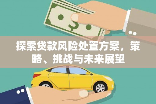蠡县探索贷款风险处置方案，策略、挑战与未来展望
