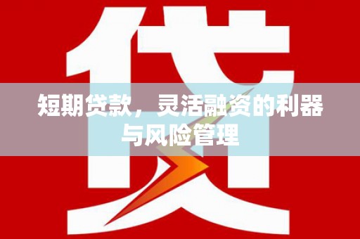 蠡县短期贷款，灵活融资的利器与风险管理