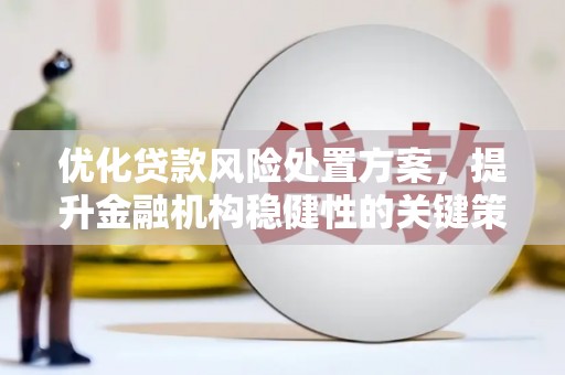 蠡县优化贷款风险处置方案，提升金融机构稳健性的关键策略
