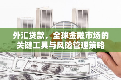 蠡县外汇贷款，全球金融市场的关键工具与风险管理策略