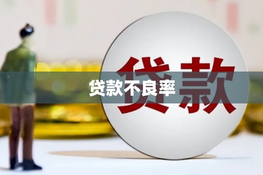 蠡县贷款不良率