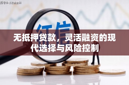 蠡县无抵押贷款，灵活融资的现代选择与风险控制