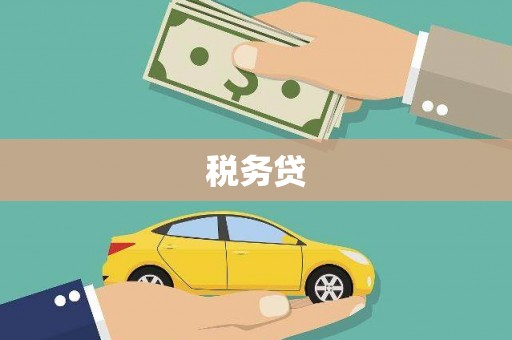 蠡县税务贷
