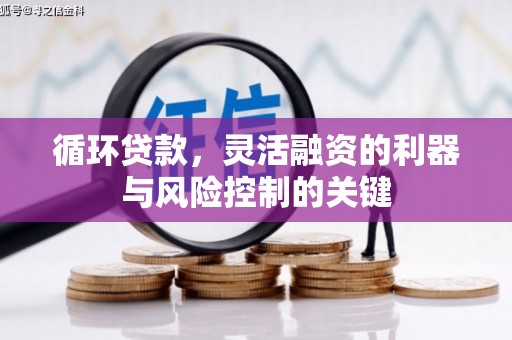 蠡县循环贷款，灵活融资的利器与风险控制的关键