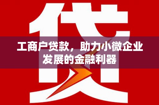 蠡县工商户贷款，助力小微企业发展的金融利器