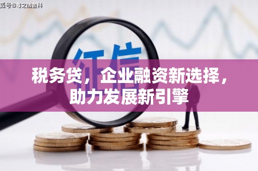 蠡县税务贷，企业融资新选择，助力发展新引擎