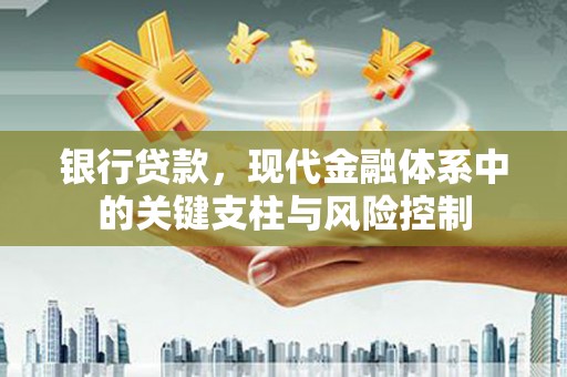 蠡县银行贷款，现代金融体系中的关键支柱与风险控制