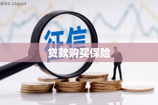 蠡县贷款购买保险