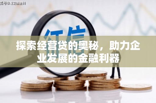 蠡县探索经营贷的奥秘，助力企业发展的金融利器