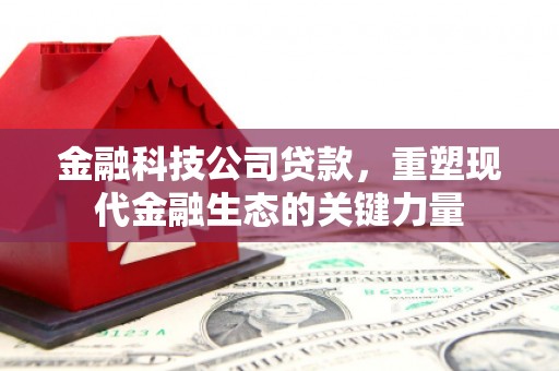 蠡县金融科技公司贷款，重塑现代金融生态的关键力量