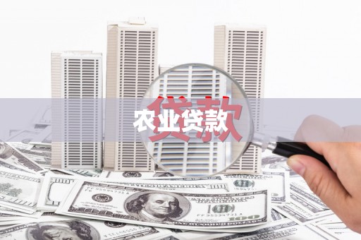 蠡县农业贷款