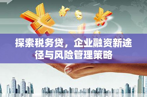 蠡县探索税务贷，企业融资新途径与风险管理策略