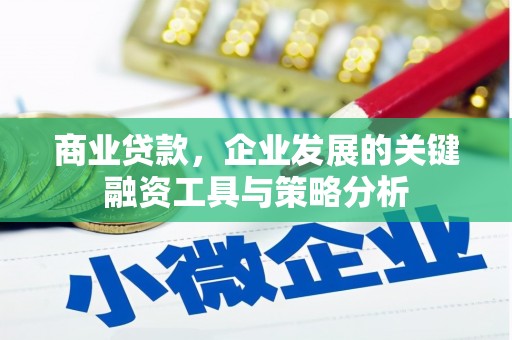 蠡县商业贷款，企业发展的关键融资工具与策略分析