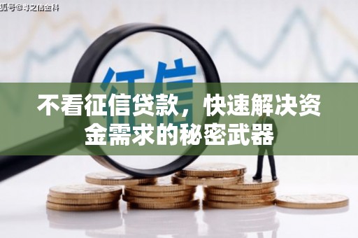 蠡县不看征信贷款，快速解决资金需求的秘密武器